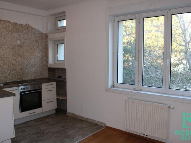 Apartment mieten in Katastralgemeinde Baden, Baden