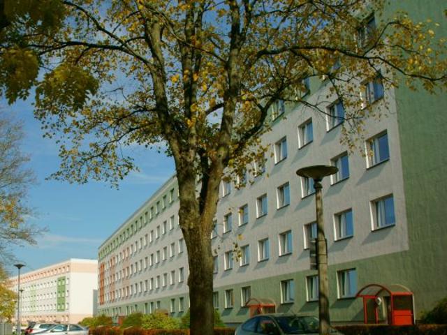 Wohnung mieten in Neundorfer Vorstadt, Plauen