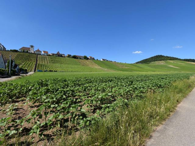 Wohnung kaufen in Hohenhaslach, Sachsenheim