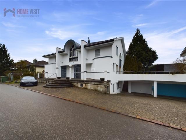 Einfamilienhaus kaufen in Opfikon, Zürich