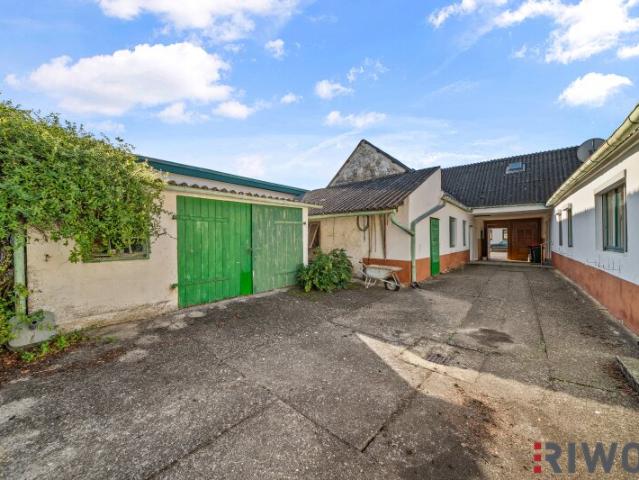 Haus kaufen in Rohrau, Niederösterreich
