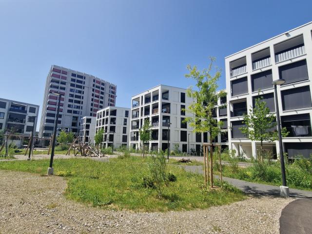Apartment mieten in Aesch (BL), Basel-Landschaft