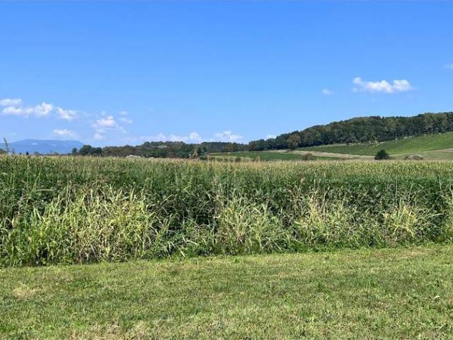 Haus kaufen in Hartberg, Steiermark