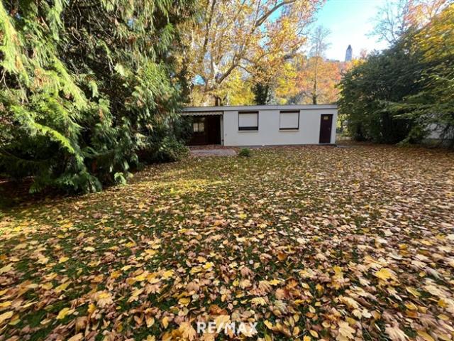 Einfamilienhaus mieten in Seebenstein, Niederösterreich