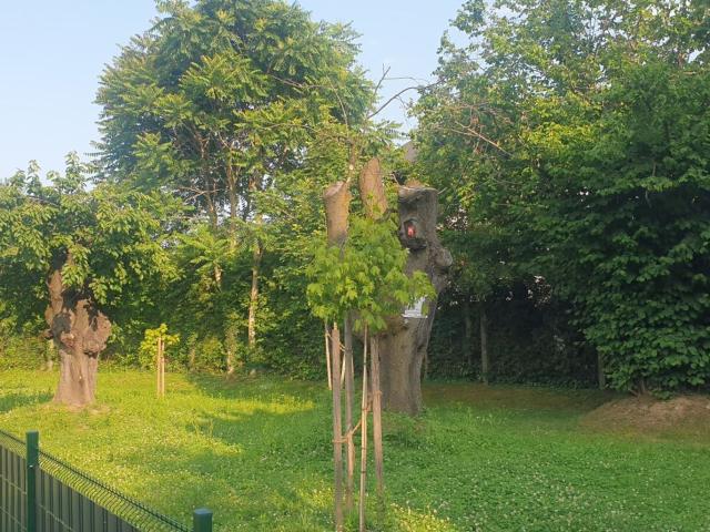 Wohnung mieten in Gersdorf-Feistritz, Steiermark