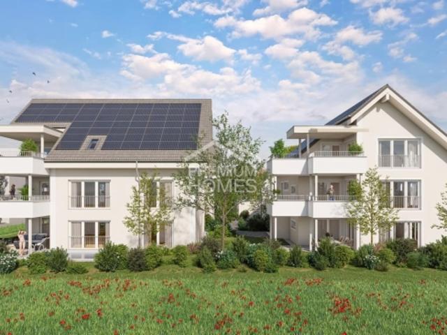 Wohnung kaufen in Nesselnbach, Niederwil