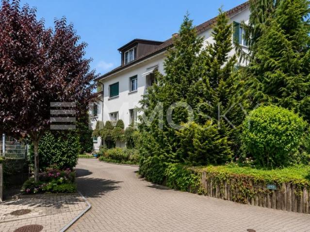 Wohnung kaufen in Olsberg (BL), Arisdorf