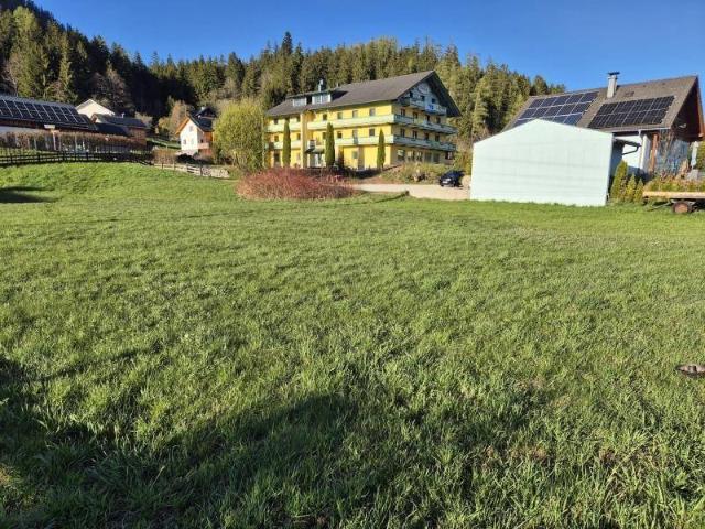 Immobilie kaufen in Bad Mitterndorf, Steiermark
