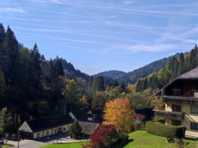 Grundstück kaufen in Hüttenberg, Kärnten