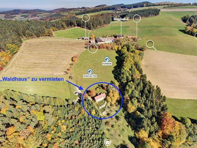 Haus mieten in Edlitz, Niederösterreich