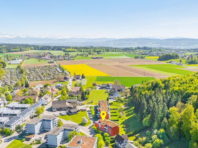 Wohnung kaufen in Illnau-Effretikon, Zürich