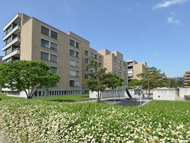 Wohnung mieten in Opfikon, Zürich