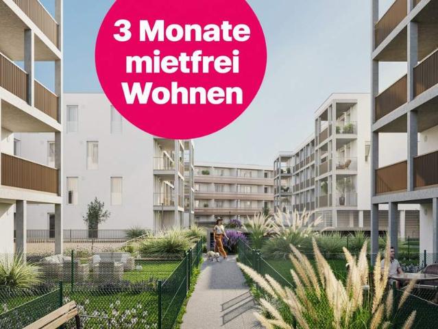 Wohnung mieten in Mödling, Bezirk Mödling