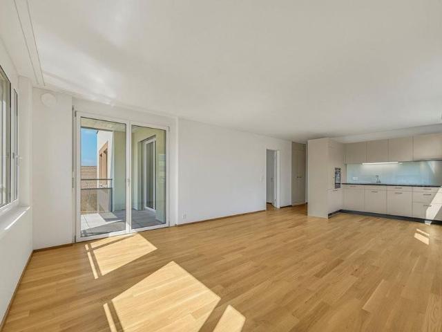 Apartment mieten in Hedingen, Bezirk Affoltern