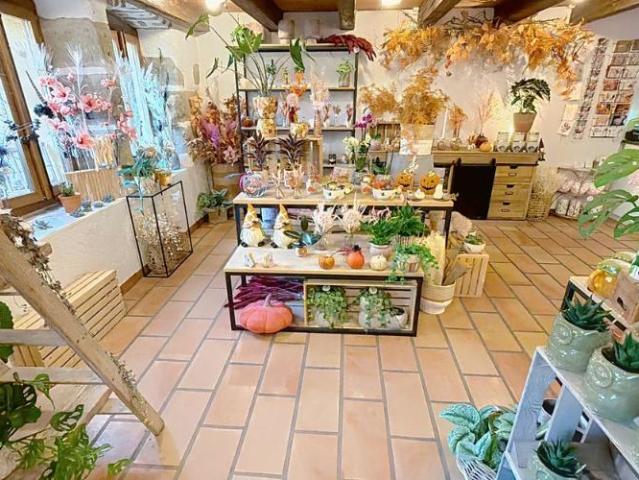 Haus kaufen in Yvonand, Waadt