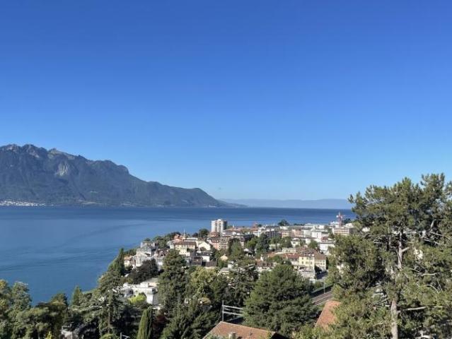 Haus kaufen in Chailly-Montreux, Waadt