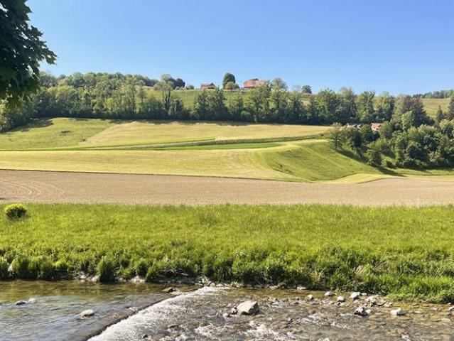 Haus kaufen in Moudon, Waadt