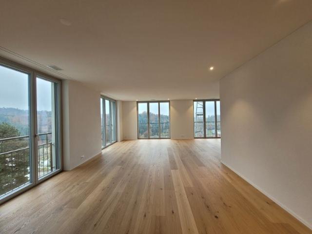 Apartment mieten in Lü