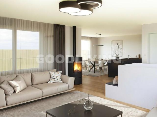 Einfamilienhaus kaufen in Lü