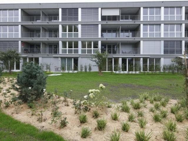 Wohnung mieten in Oberzollikofen, Zollikofen