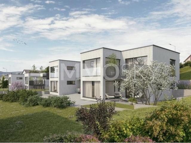 Einfamilienhaus kaufen in Breitenbach, Solothurn