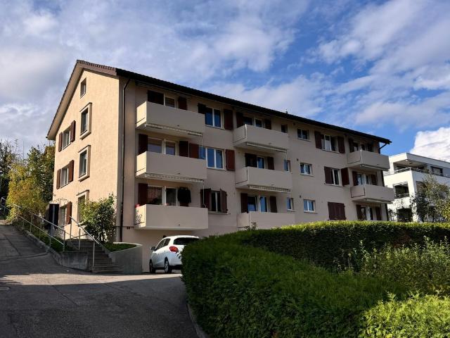 Apartment mieten in Niederdorf, Basel-Landschaft