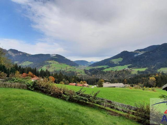 Haus kaufen in Wildschönau, Tirol