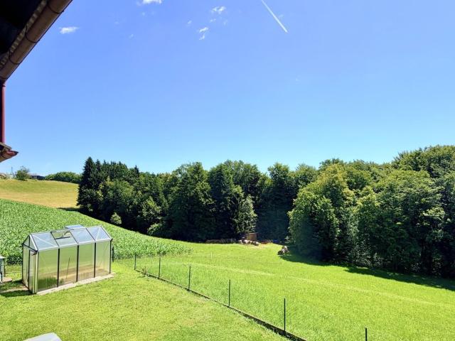 Haus kaufen in Gamlitz, Steiermark