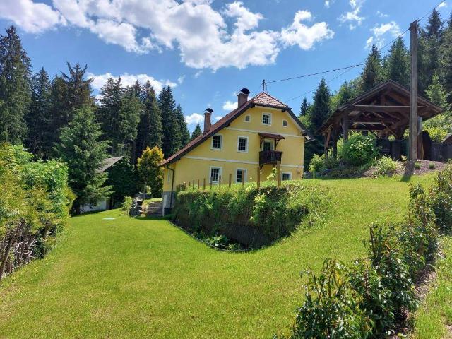 Haus kaufen in Hermagor, Kärnten
