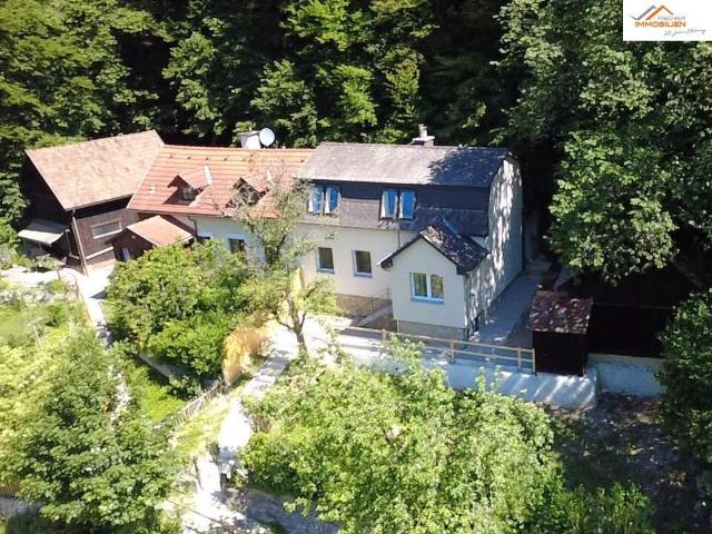 Haus kaufen in Neunkirchen, Niederösterreich