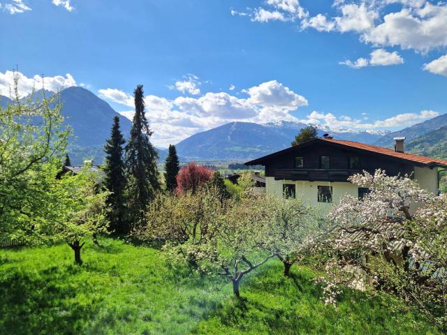 Haus kaufen in Dölsach, Tirol