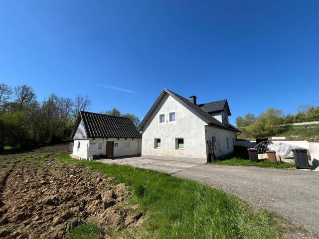 Haus kaufen in Steinhaus, Oberösterreich