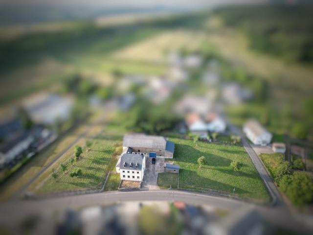 Haus kaufen in Saarburg, Rheinland-Pfalz