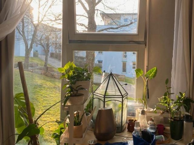 Wohnung mieten in Vaihingen-Mitte, Stuttgart