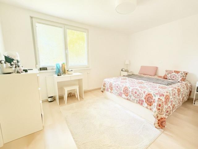 Haus mieten in Donaustadt, Wien