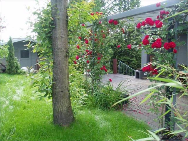 Etagenwohnung kaufen in Mömbris, Heimbach