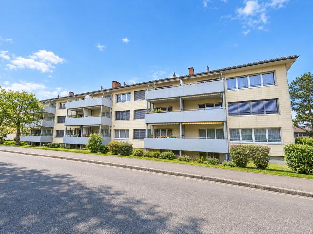 Wohnung mieten in Murten, Seebezirk / District du Lac