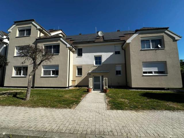 Wohnung kaufen in Gänserndorf, Niederösterreich