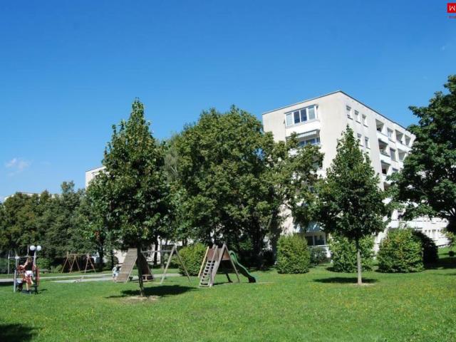 Apartment mieten in Bindermichl-Keferfeld, Linz