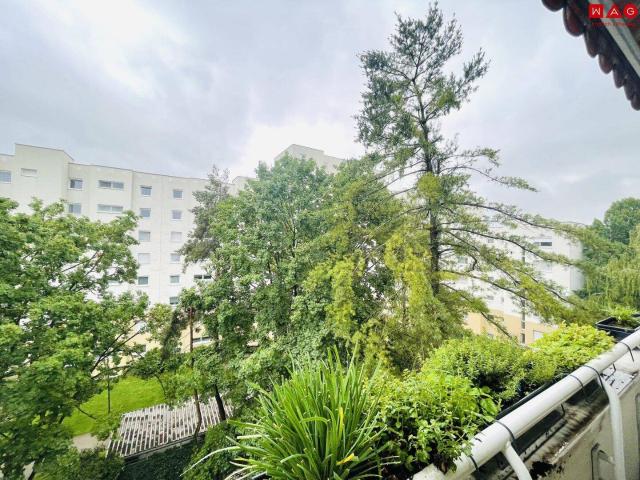 Apartment mieten in Bindermichl-Keferfeld, Linz