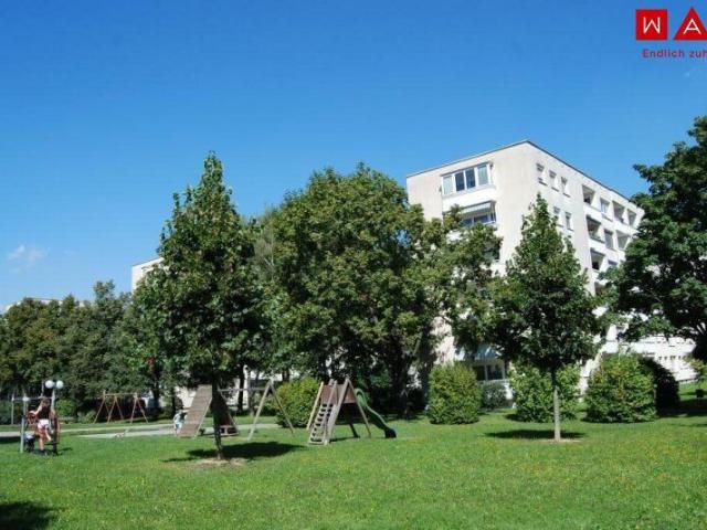 Apartment mieten in Bindermichl-Keferfeld, Linz