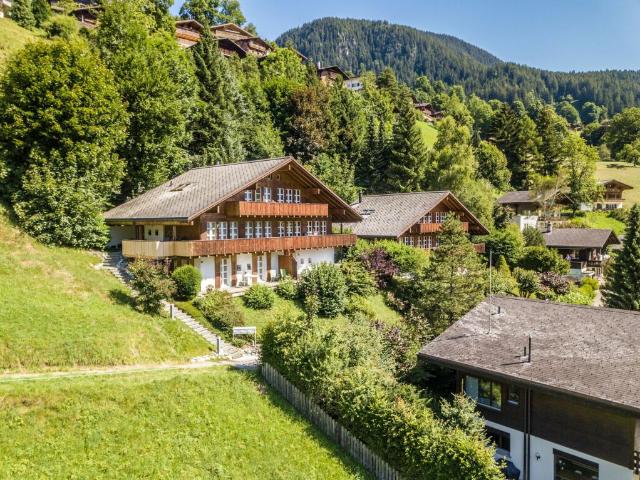 Immobilie kaufen in Grindelwald, Bern