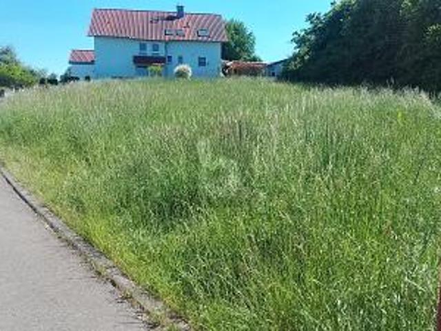 Erdgeschosswohnung kaufen in Dußlingen, Baden-Württemberg