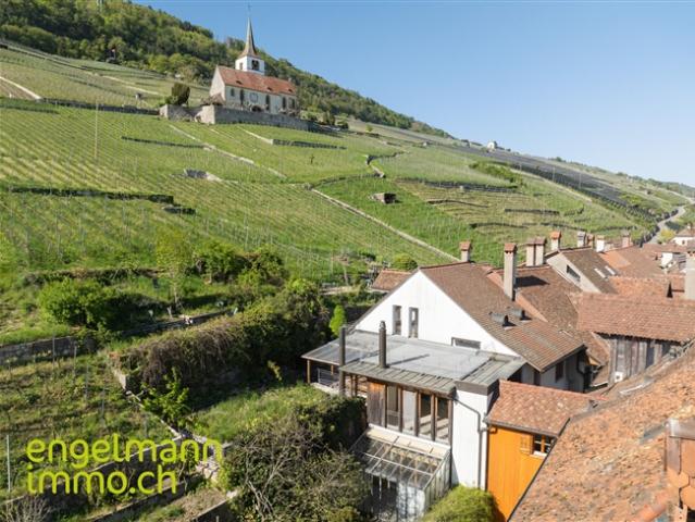 Einfamilienhaus kaufen in Ligerz, Bern