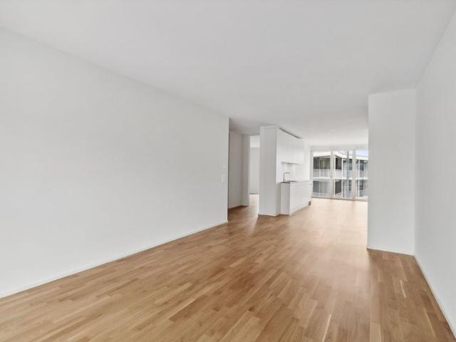 Apartment mieten in Alt-Wiedikon, Zürich