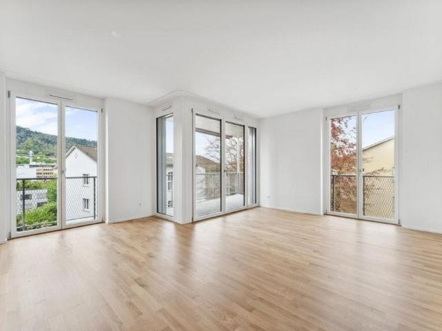 Apartment mieten in Alt-Wiedikon, Zürich