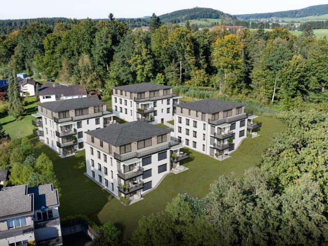 Wohnung kaufen in Neutrauchburg, Isny
