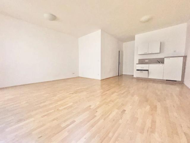 Apartment mieten in Innere Stadt, Gersdorf-Feistritz