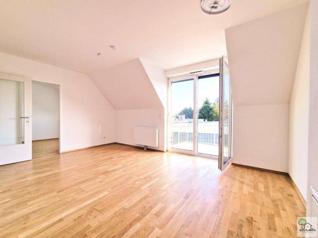 Apartment mieten in Möllersdorf, Traiskirchen