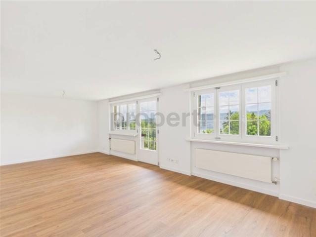 Wohnung mieten in Rapperswil-Jona, St. Gallen